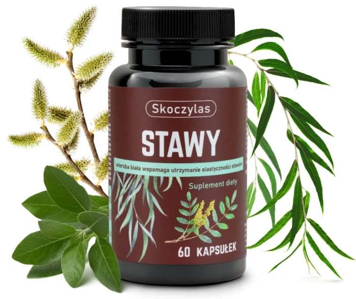 stawy_owoc_Skoczylas.webp